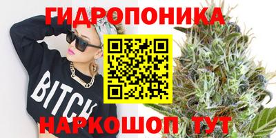 индика Белореченск