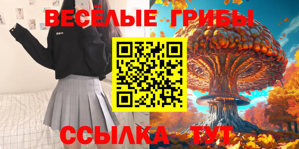 Галлюциногенные грибы GOLDEN TEACHER Петровск
