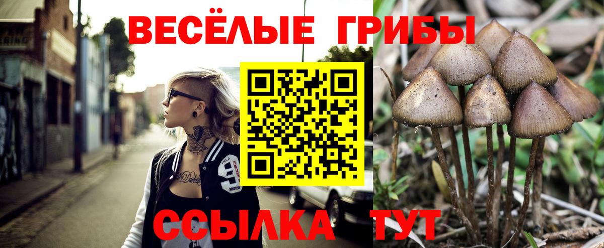 Петровск  Псилоцибиновые грибы мицелий  Вход с VPN  Псилоцибиновые грибы MAGIC MUSHROOMS 